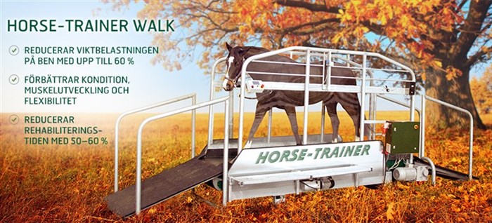 Bildresultat för horse-trainer skrittband