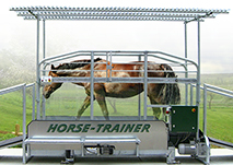 Horse-Trainer Speed