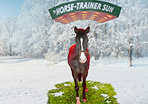 Horse-Trainer Sun