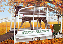 Horse-Trainer Walk
